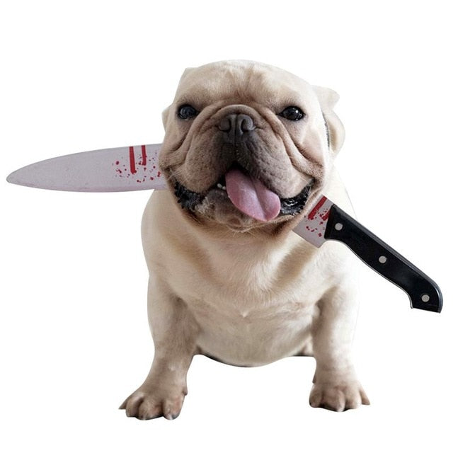 Halloween Accessories for French Bulldog