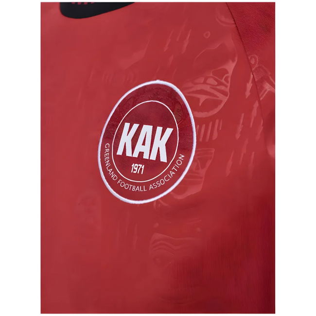 Authentic 2024-2025 Greenland Home Official Team Cup Professional High