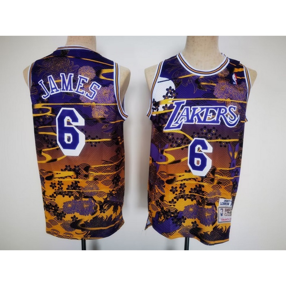 Premium Los Angeles Lakers LeBron James6 Purple Jersey - Game Day Essential