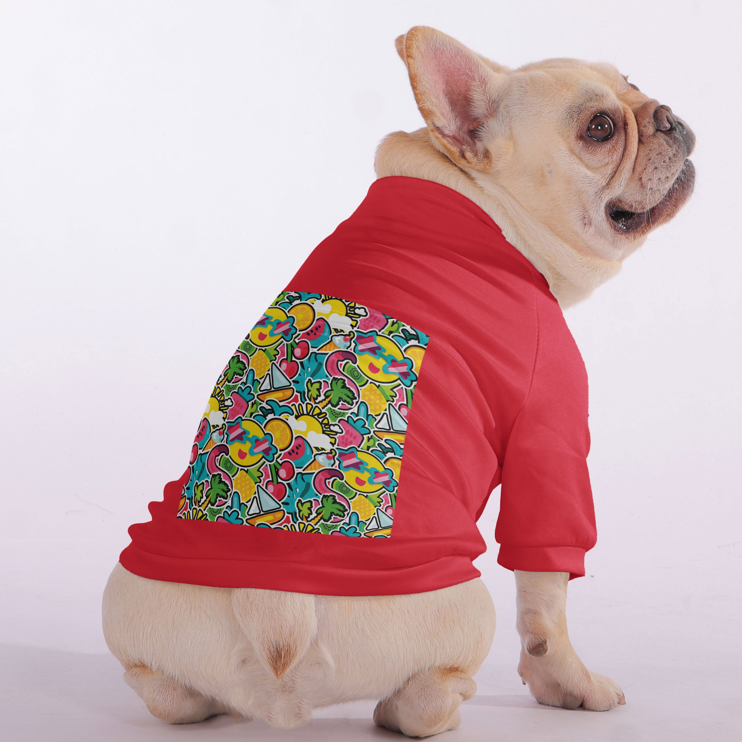 French Bulldog Apollo Snuggly Zip Up Sweatshirt For French Bulldogs Durable Dog Item