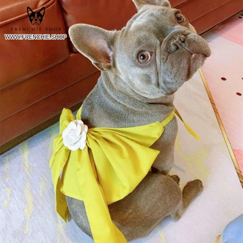 Warm Frenchie Summer Dress Stylish Skirt (w309) Pet Gear | Durable Build