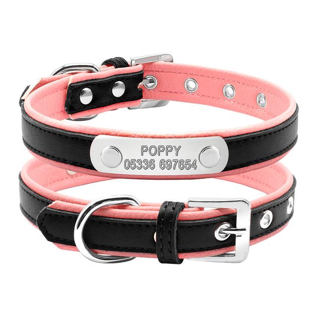 French Bulldog Custom Frenchie Collar Essential Pet Accessory