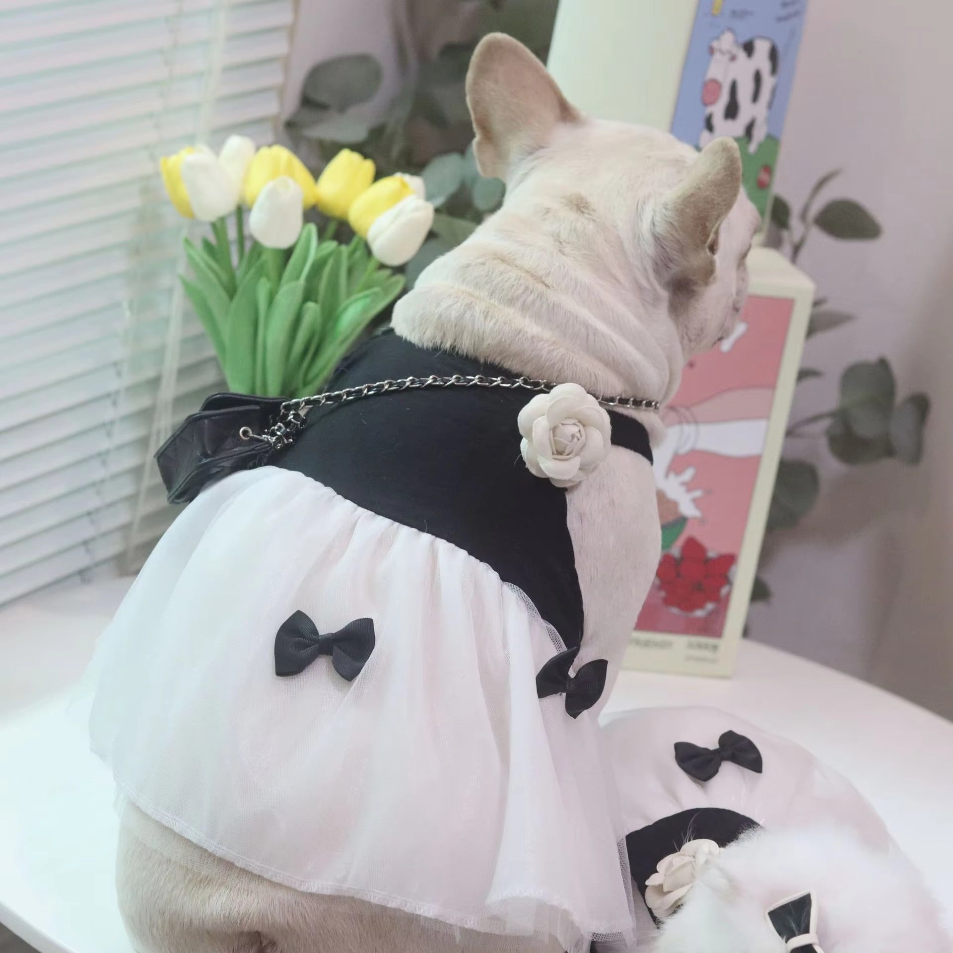 Dress – Summer Cotton Cozy Clothes Paw Protection | Breed-optimized