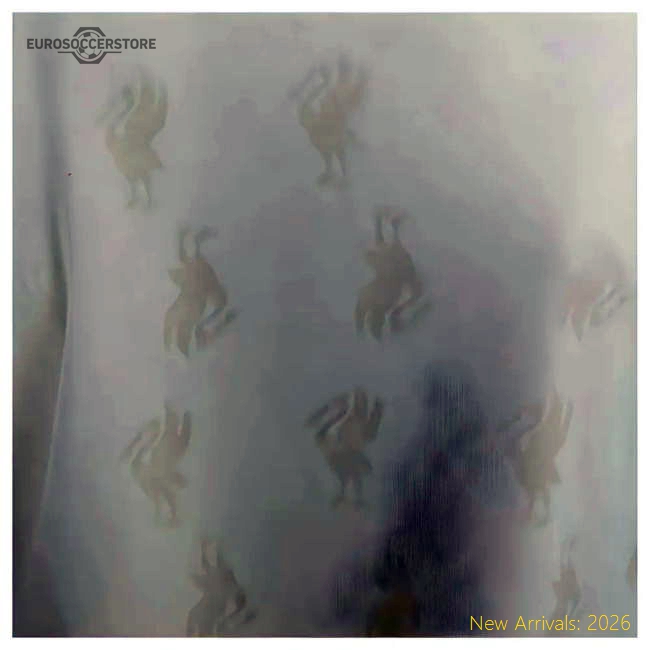 Authentic 1996-1997 Liverpool Away Retro Shirt (barnes 10) - Premium