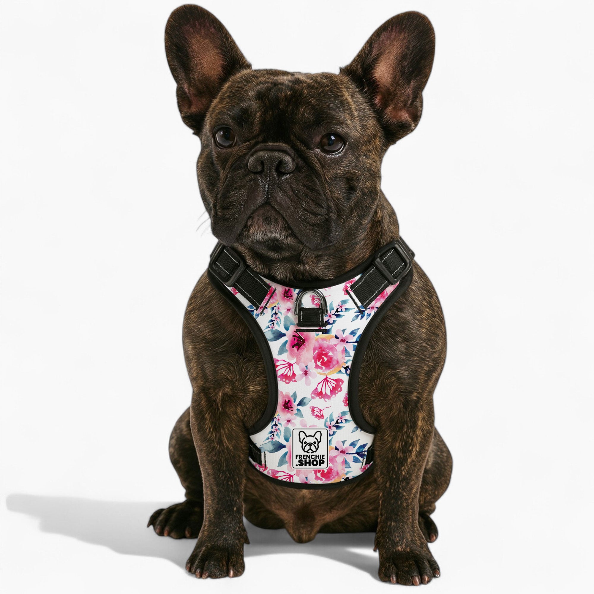 Zinnia - Bulldog No-pull French Bulldog Dog Harness Dog Supplies