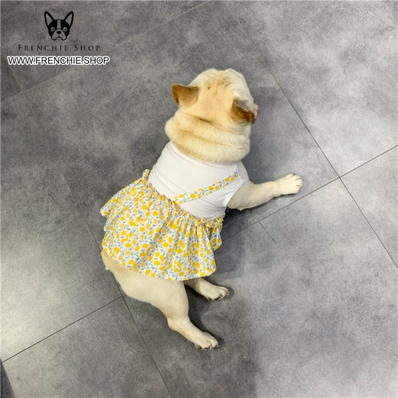 Summer Dress Floral Design (w308) For French Bulldogs | Non-slip Design