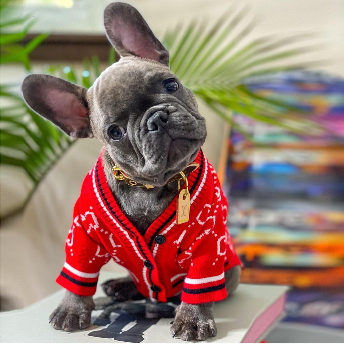Snugglepup - Casual Frenchie Knit Fashion Winter Sweater Casual Wear