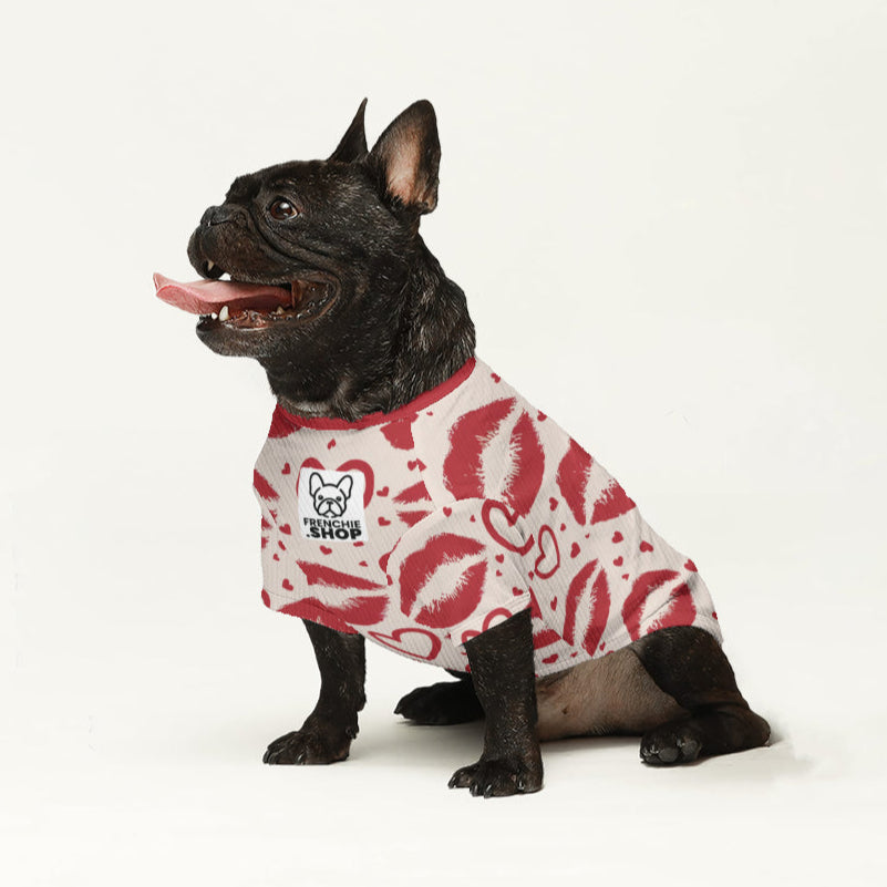 - Trendy Wool Sweater For Frenchies Pet Owner Apparel | Stylish Look