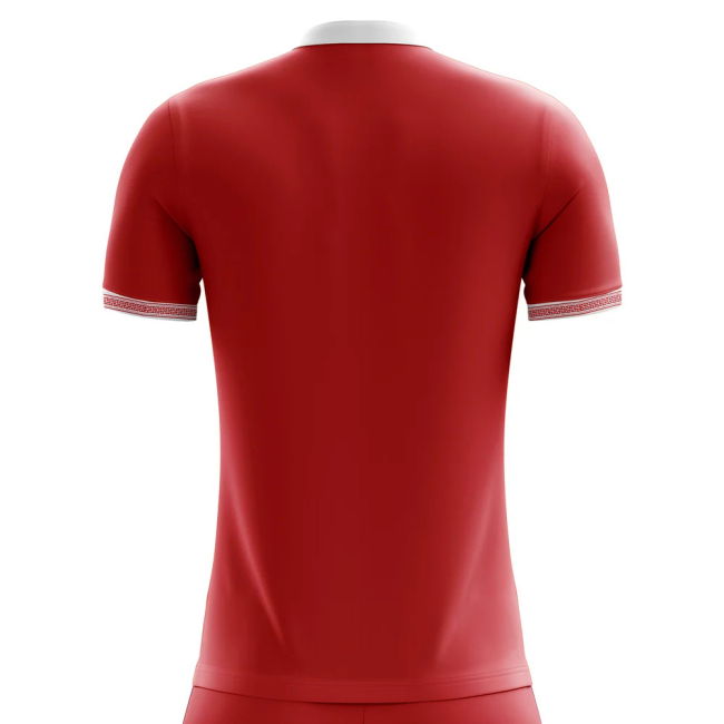 Exclusive-Design World-Class 2025-2026 Tunisia Away Concept Football