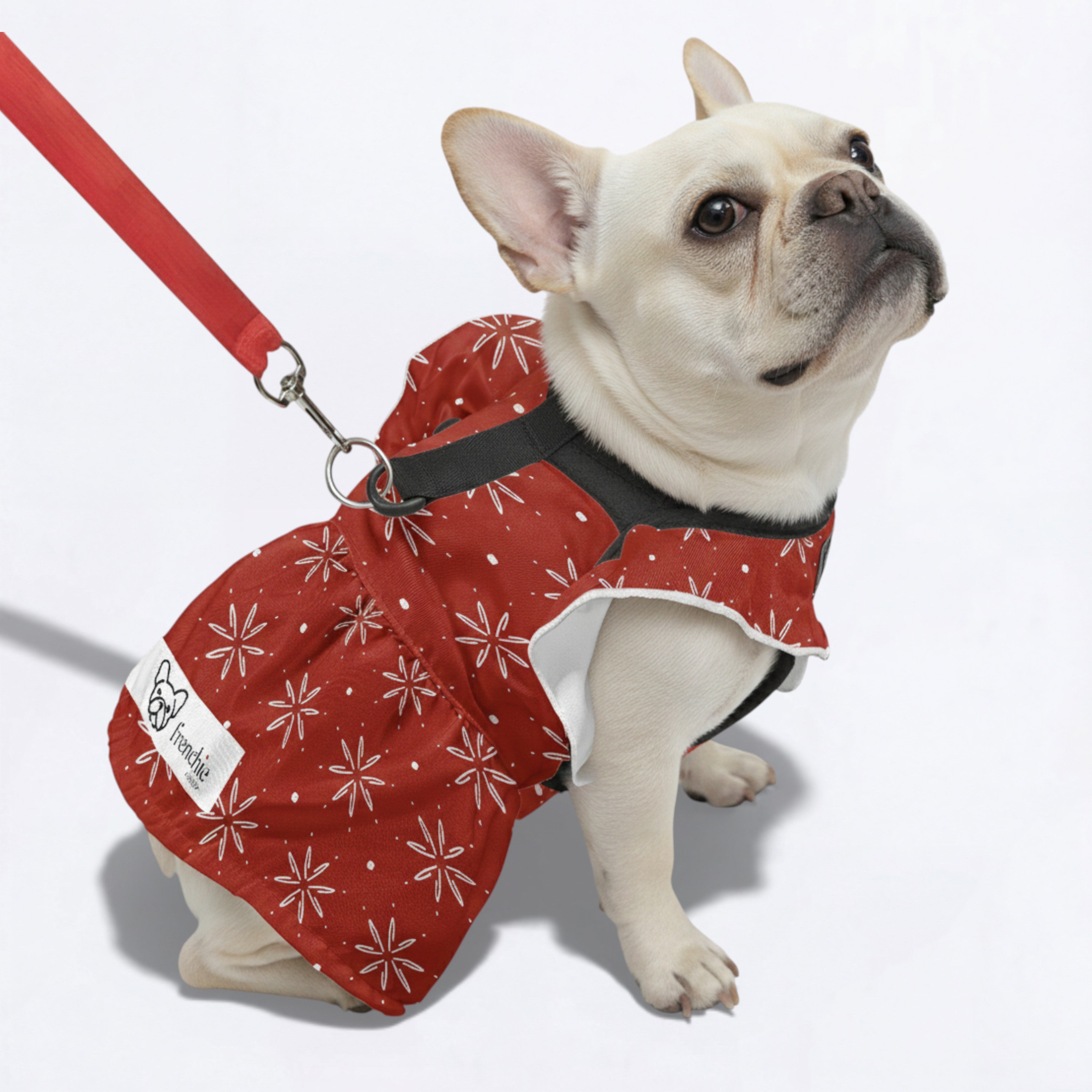 Culture-Inspired Nala - French Bulldog Dresses For Females for Pet