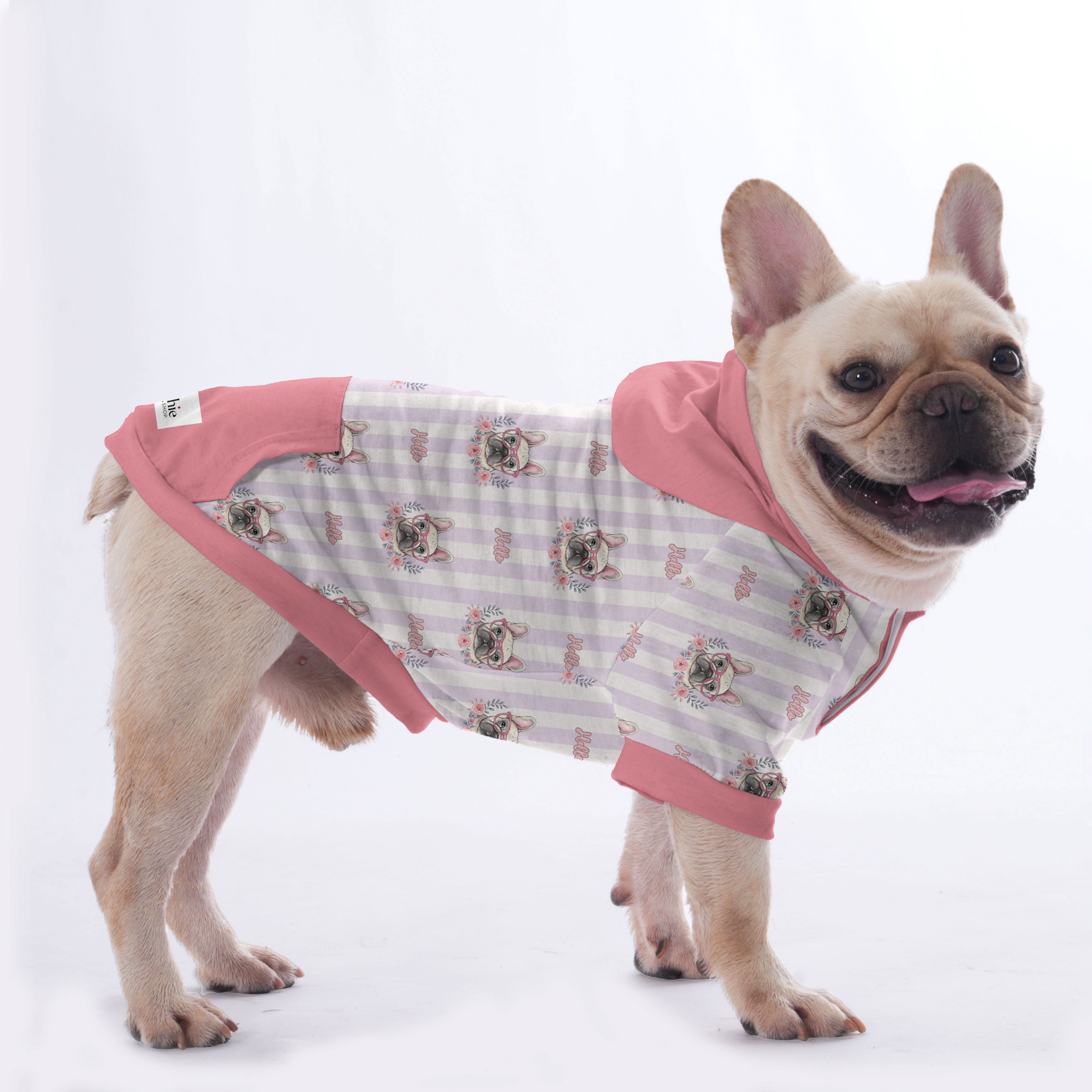 Fashion-Forward Chowder - Hoodies For French Bulldog | Frenchie Shop ...