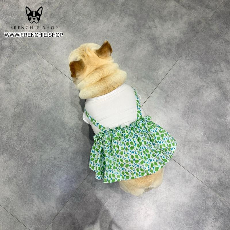 French Bulldog Frenchie Summer Dress Floral Design (w308) Durable Dog Item