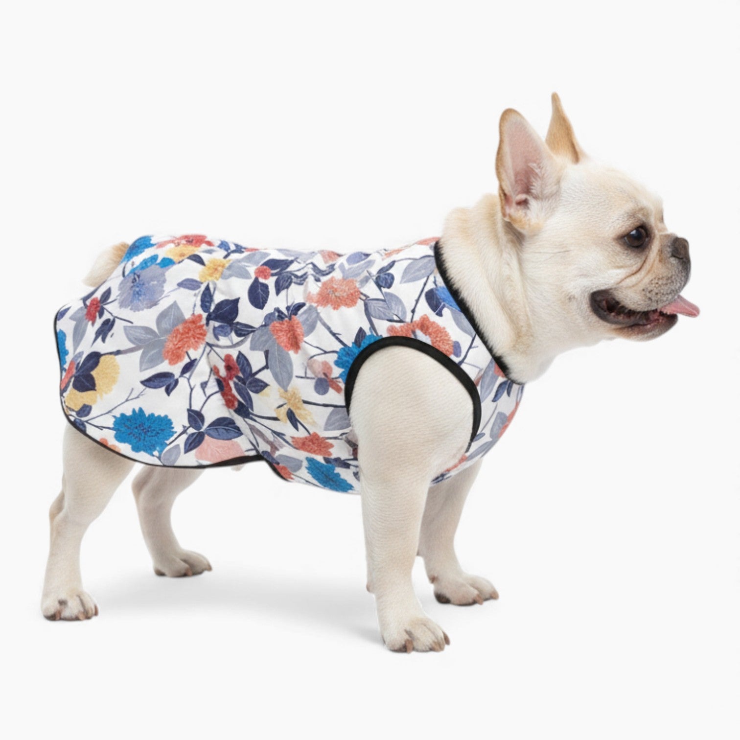 French Bulldog Dresses For Females For French Bulldogs | Breed-optimized