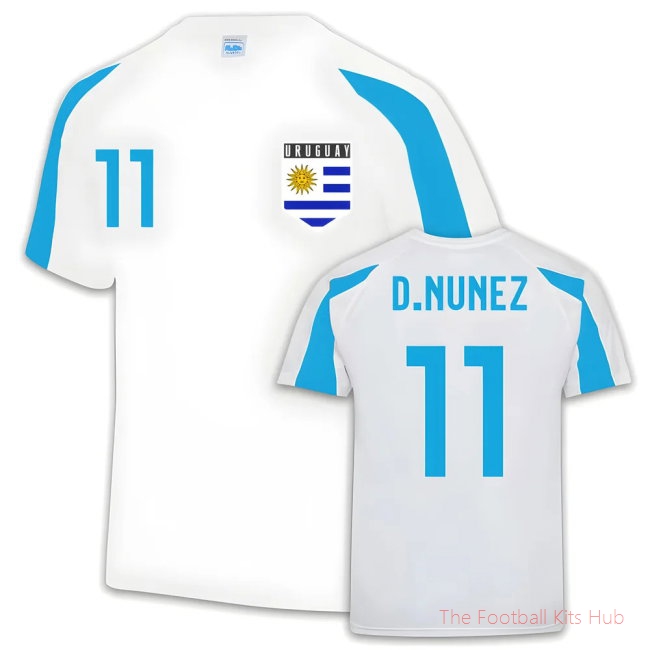 Uruguay Sports training Jersey (Darwin Nunez 11)