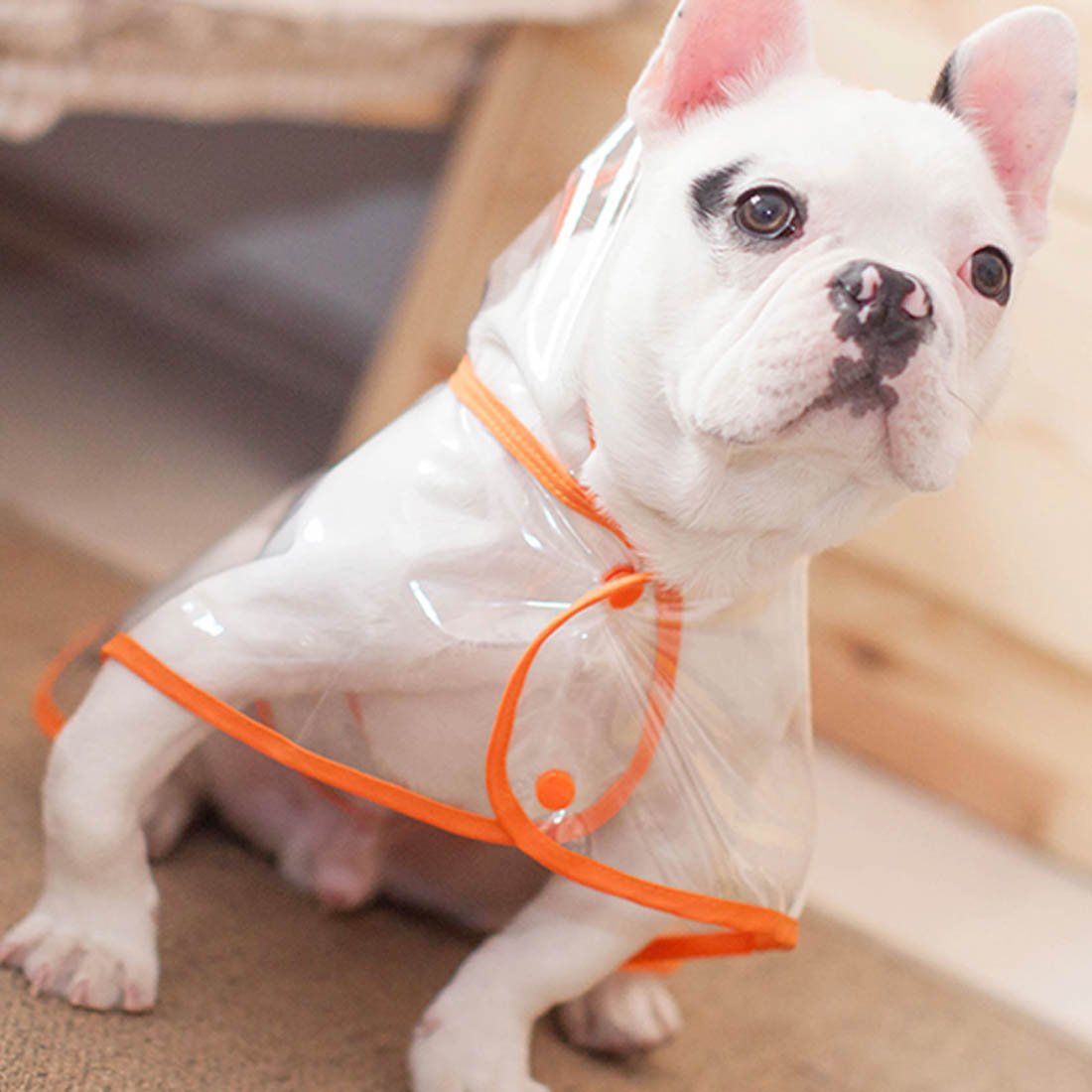 French Bulldog Raincoat (CS3)