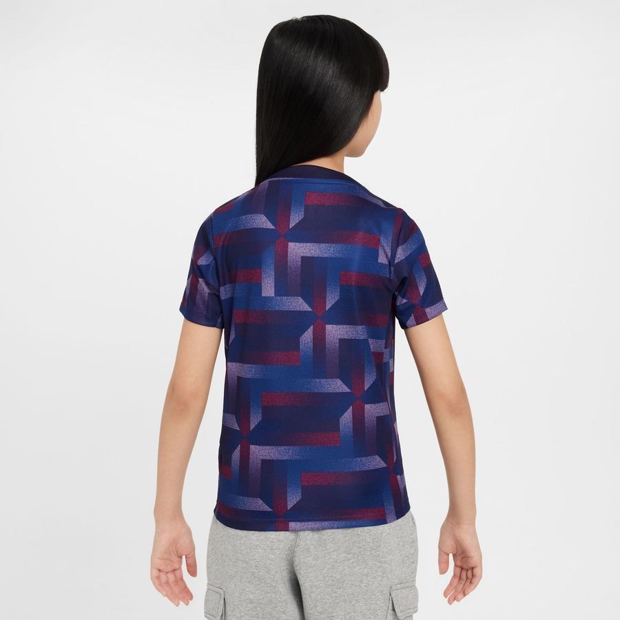 England Training T Shirt Dri Fit Academy Pro Pre Match Purple Ink/sesa