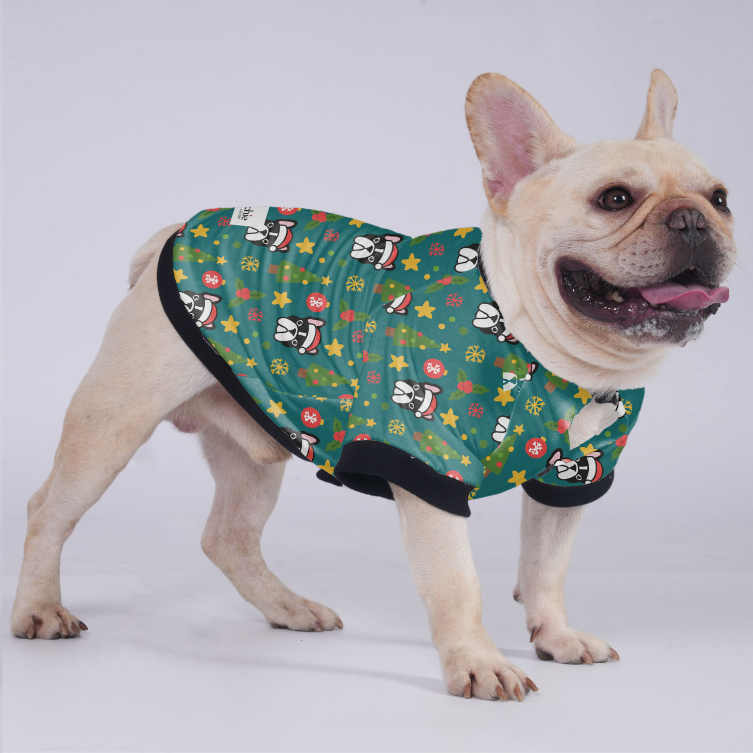 Pablo - Comfortable Jacket For French Bulldog Outdoor Use