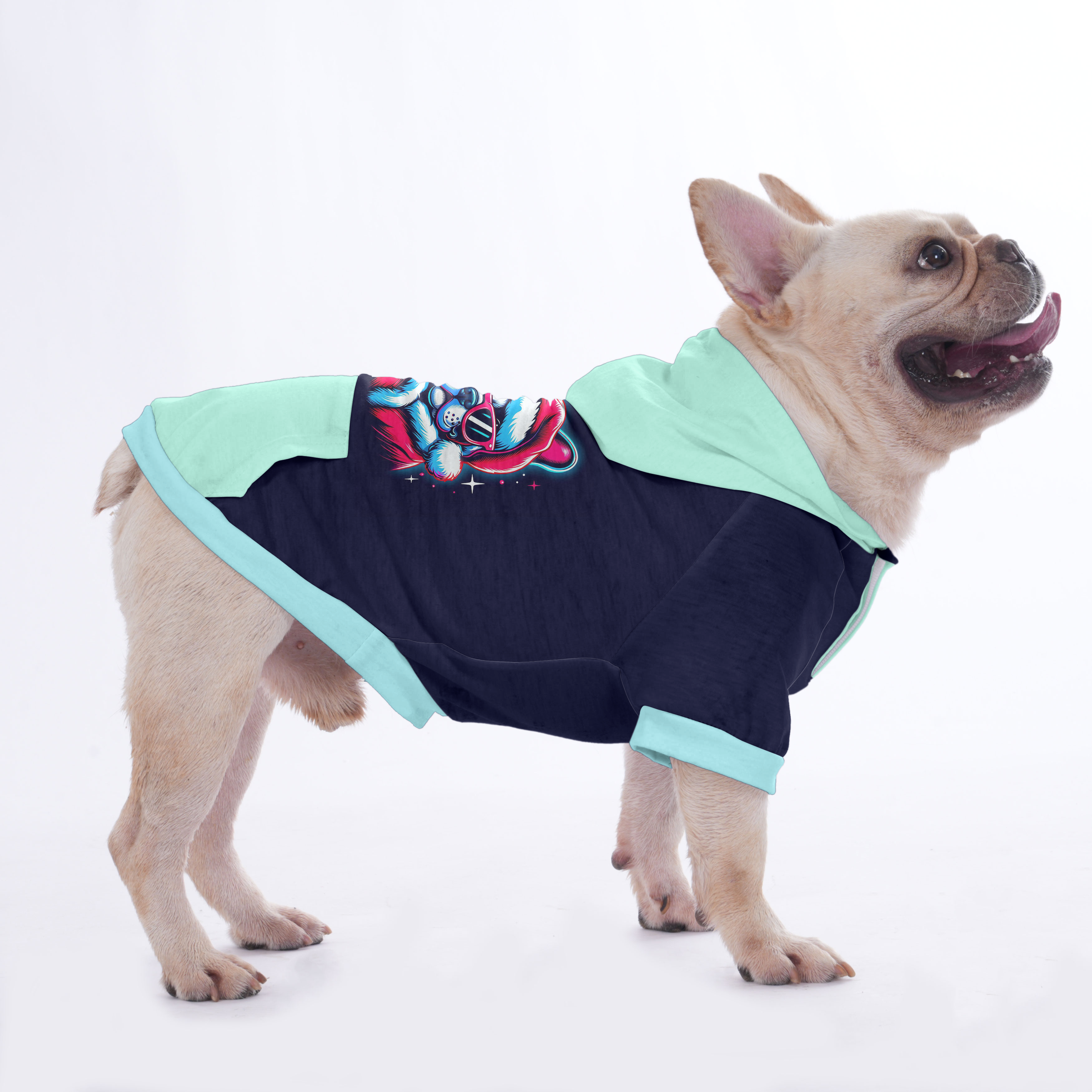 Street-Ready Trixie - Hoodies For French Bulldog | Frenchie Shop Orig...
