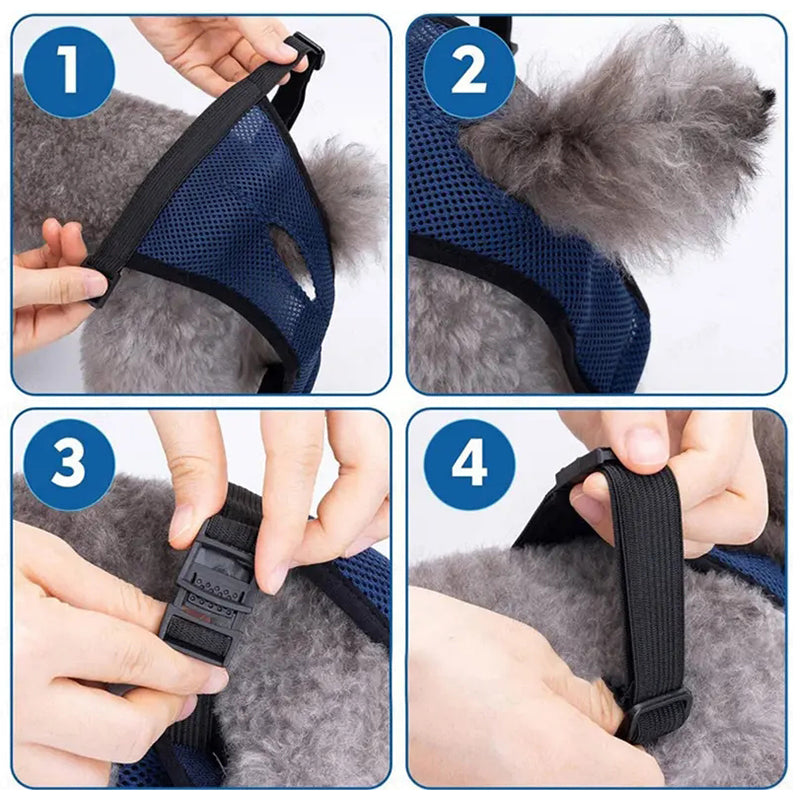 Safe Frenchie Diaper Hygienic Panties For Ultimate Comfort Dog Supplies