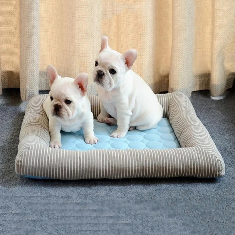 French Bulldog Furchill Frenchie Breathable Dog Bed – Cooling Mat With