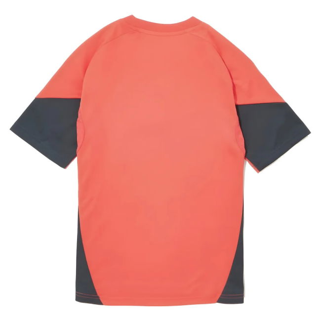Bayern Munich Performance Jersey 2025-2026 #17