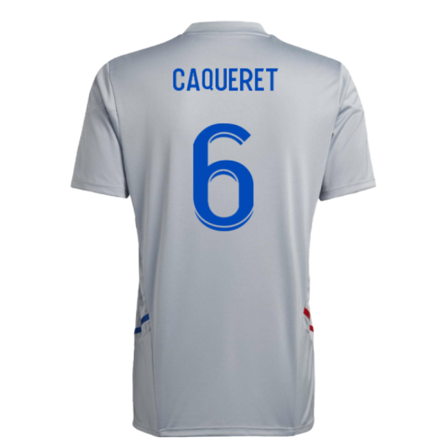 2022-2023 Olympique Lyon Training Football Jersey (halo Silver) (ca