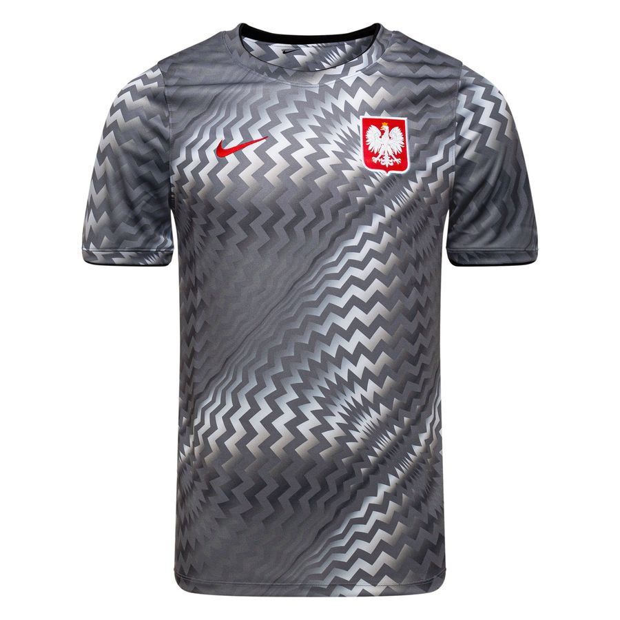 [KK] Poland Dri FIT Academy Pro Pre Match Pure Platinum/Cool Grey/Sport Training Red