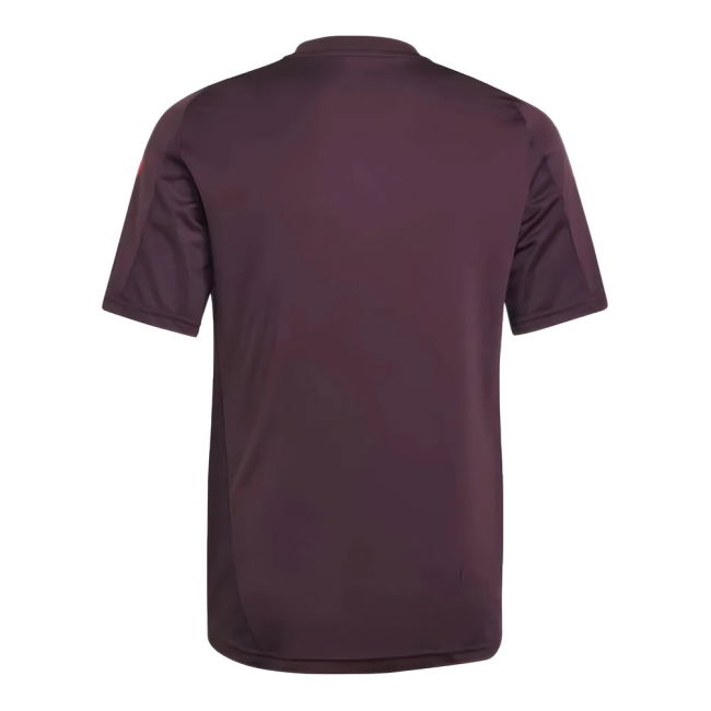 Bayern Munich Training 2025-2026 - performance football shirt