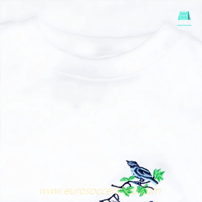 West Bromwich Albion 1968 FA Cup Final Retro Football Shirt