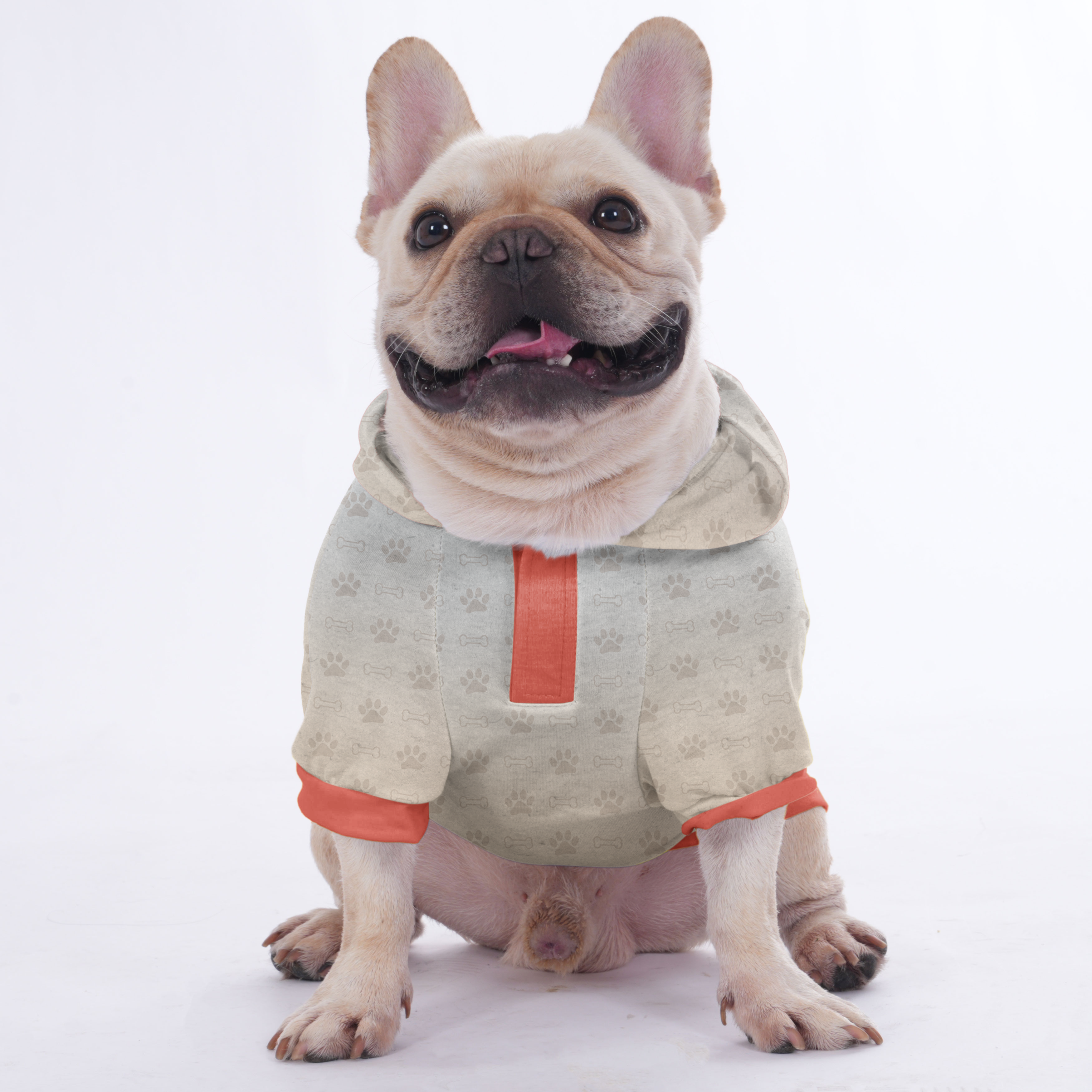 Picture And Name | Frenchie Shop Original Casual Wear | Durable Build