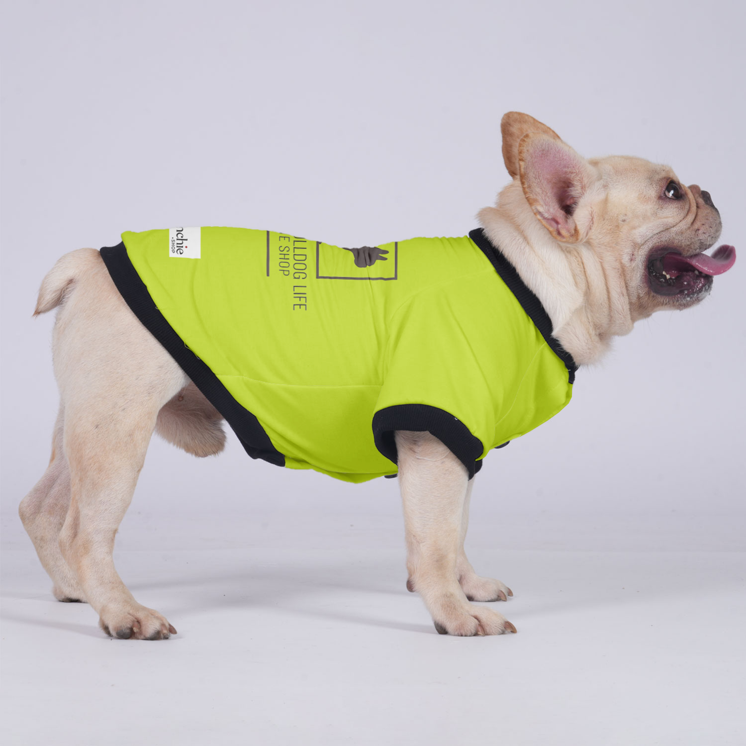 Max - Premium Jacket For French Bulldog Summer Wear | Durable Build
