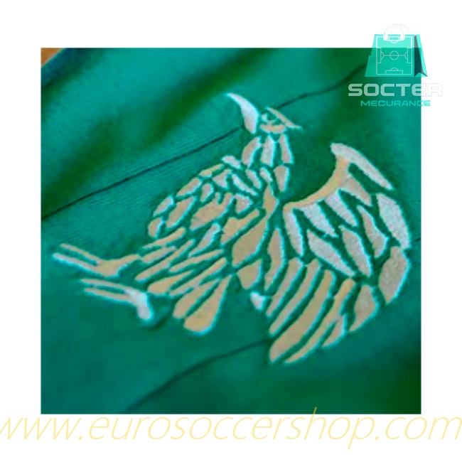 Authentic Mexico Home