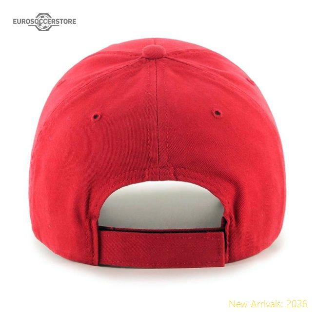 Liverpool 2024-25 Fan Version For Adults Cap Football Shirt