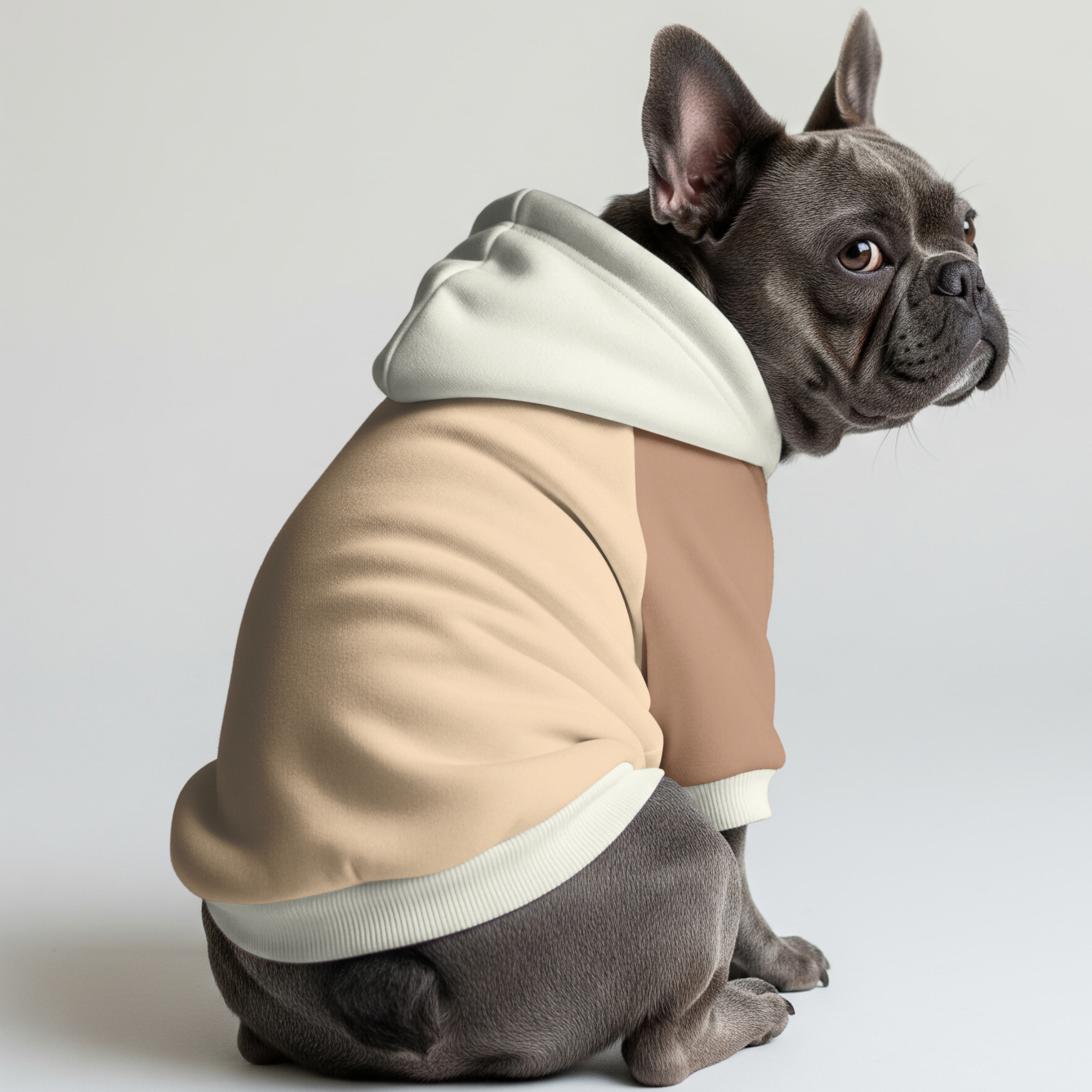 French Bulldog Teddy Frenchie Hoodie Frenchie Pet Item