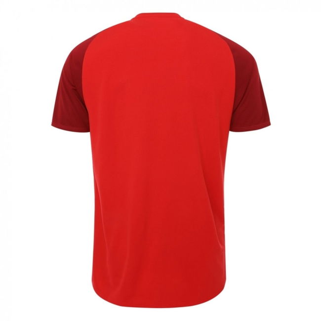 Liverpool Elite Jersey 2018-2019