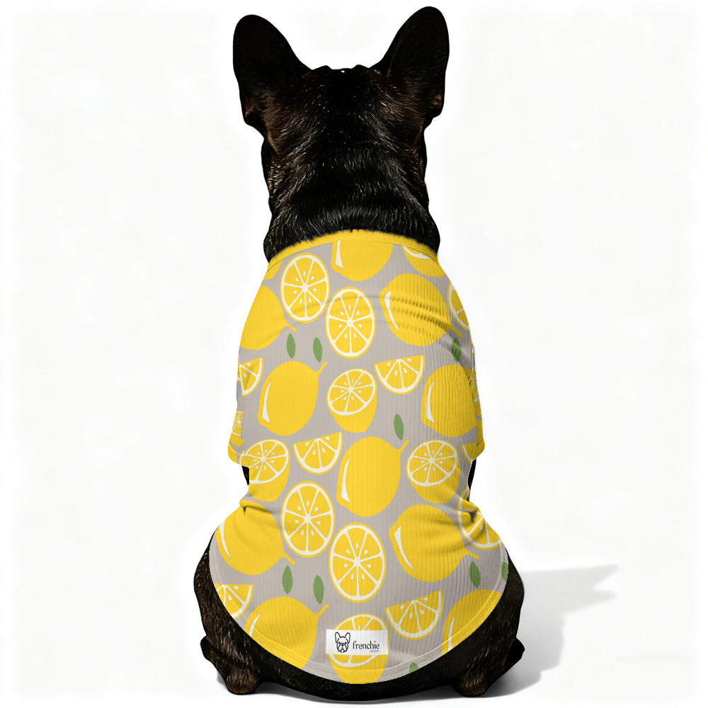 French Bulldog Luca Wool Sweater For Frenchies Comfy Pet Outfit