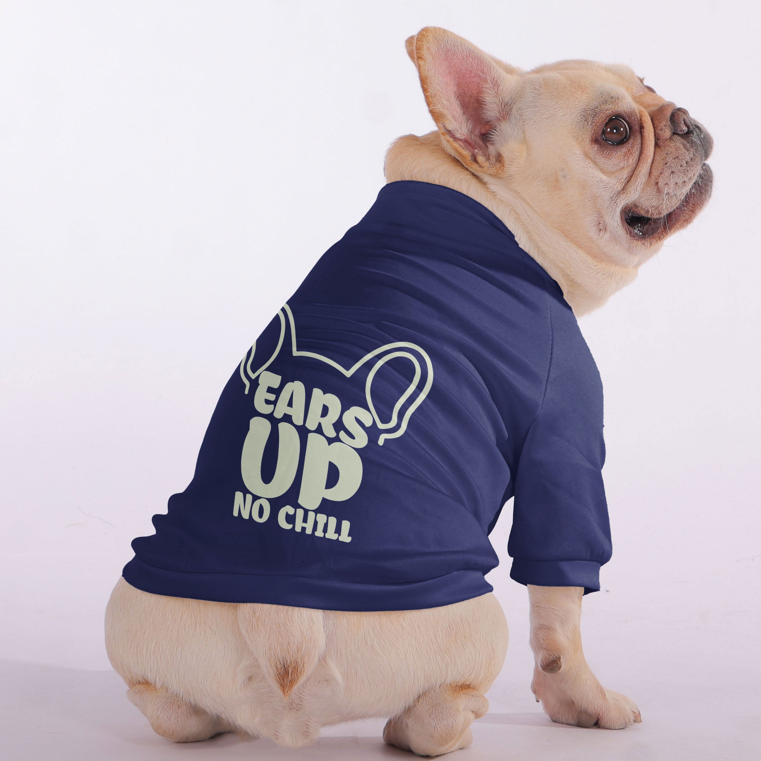 Ears Up, No Chill - Snuggly Zip-Up Sweatshirt for French Bulldogs