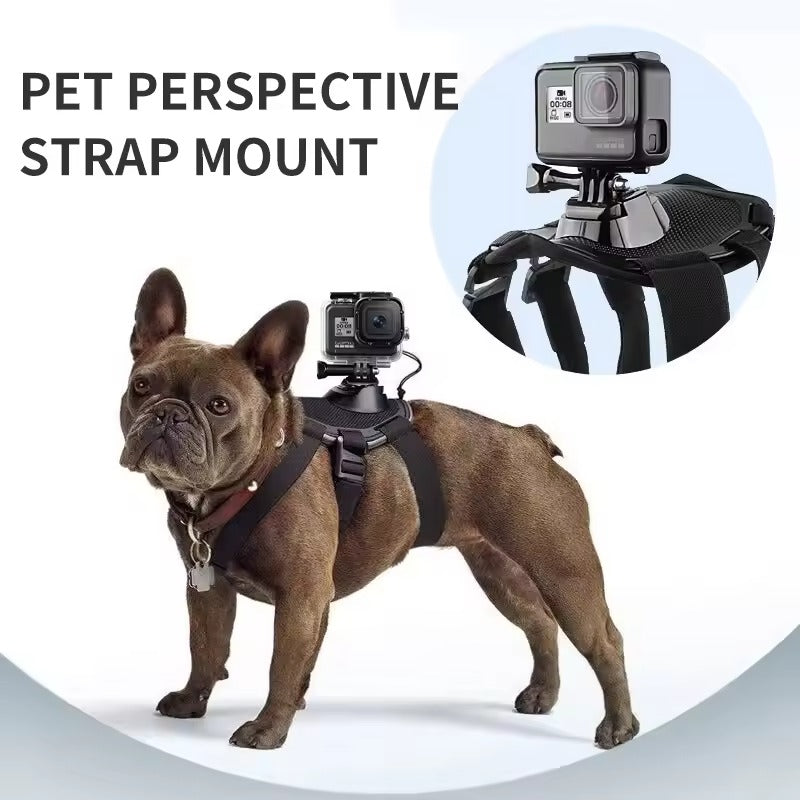 French Bulldog Adjustable French Bulldog Gopro Harness Secure Camera