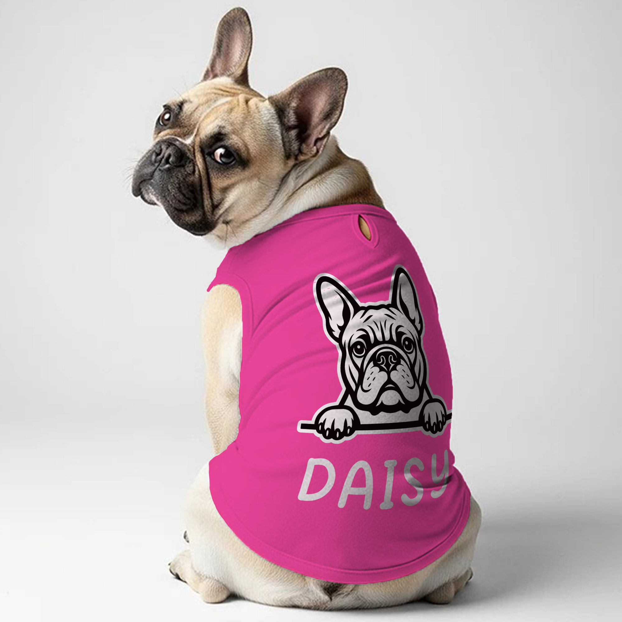 Culture-Inspired Cookie - Personalized Frenchie Shirt | Custom Dog T-...