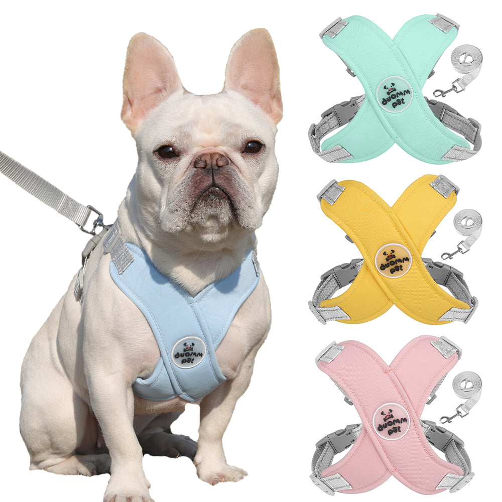 Secure-Fit Refleciere Frenchie Breathable Harness Leash Set for Short...