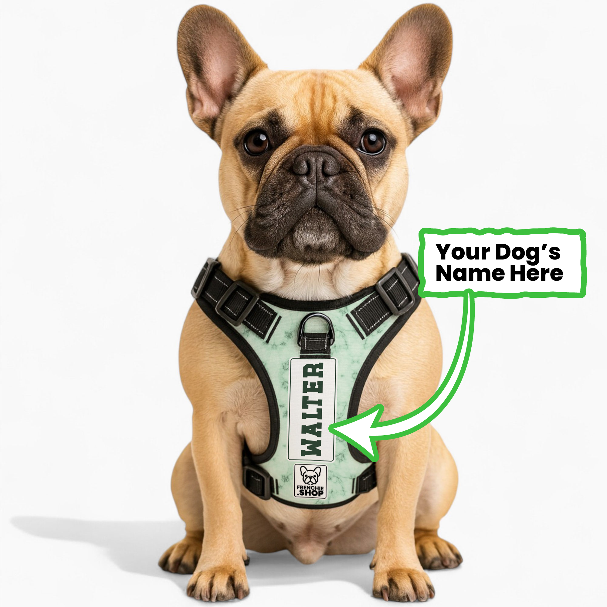 No-pull French Bulldog Dog Harness Summer Wear | Safe For Paws