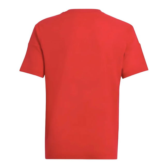 Hungary Pro Home Jersey 2024-2025