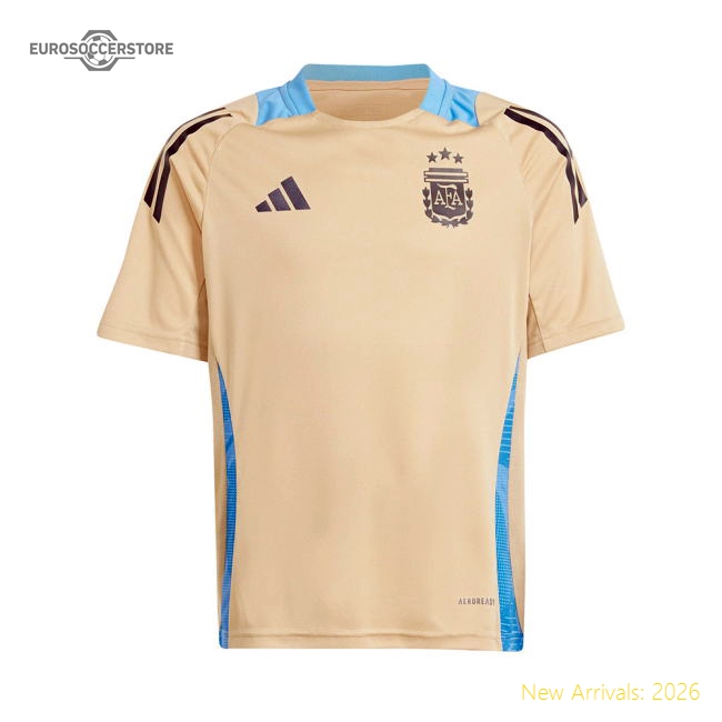 Authentic Argentina Training 20242025 Training Jersey (