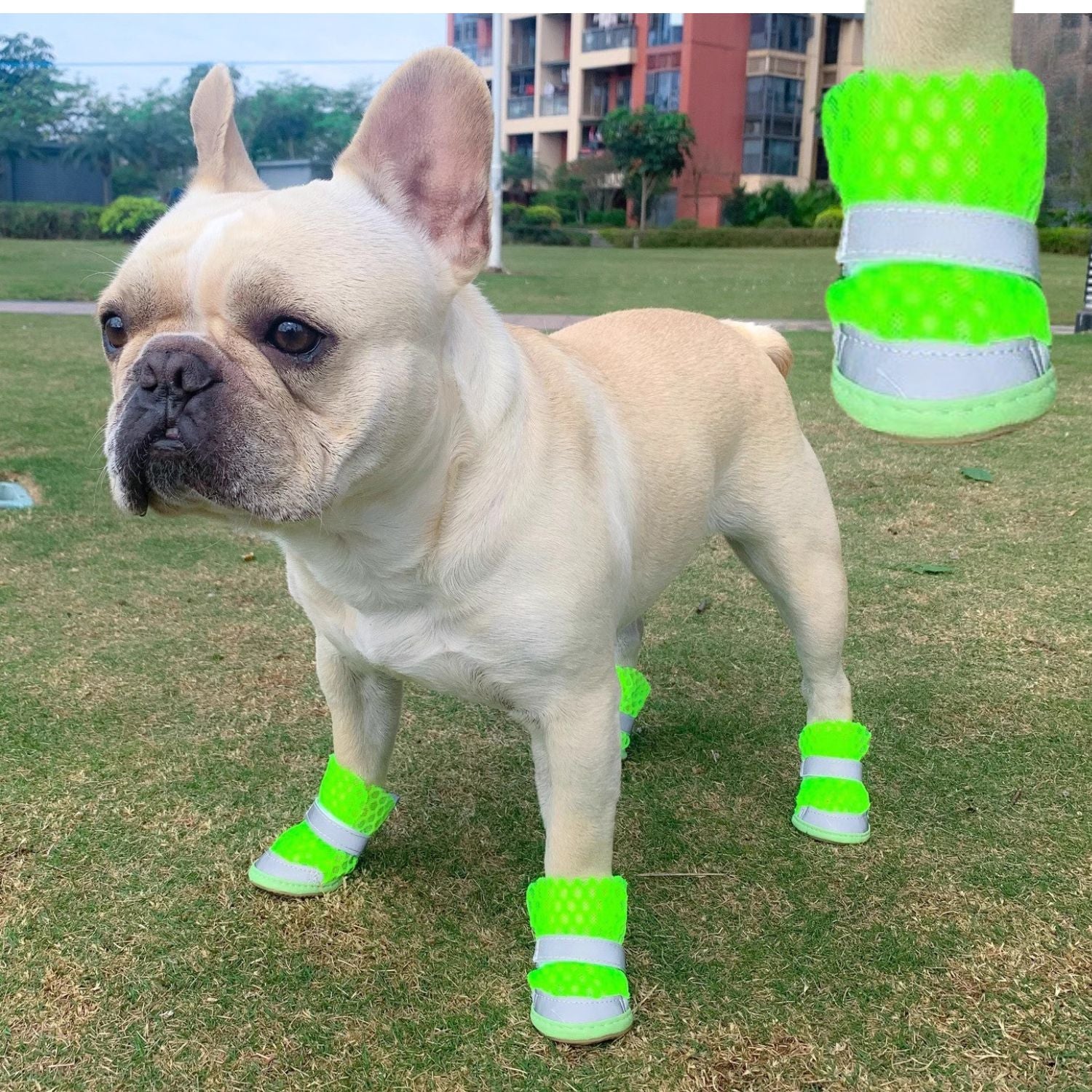 Pupair - Durable Premium Breathable Frenchie Booties For French Bulldogs