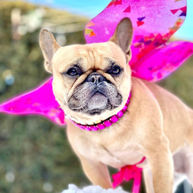 Breed-Designed Diamondpaws Luxury Frenchie Collar Rhinestone Necklace...