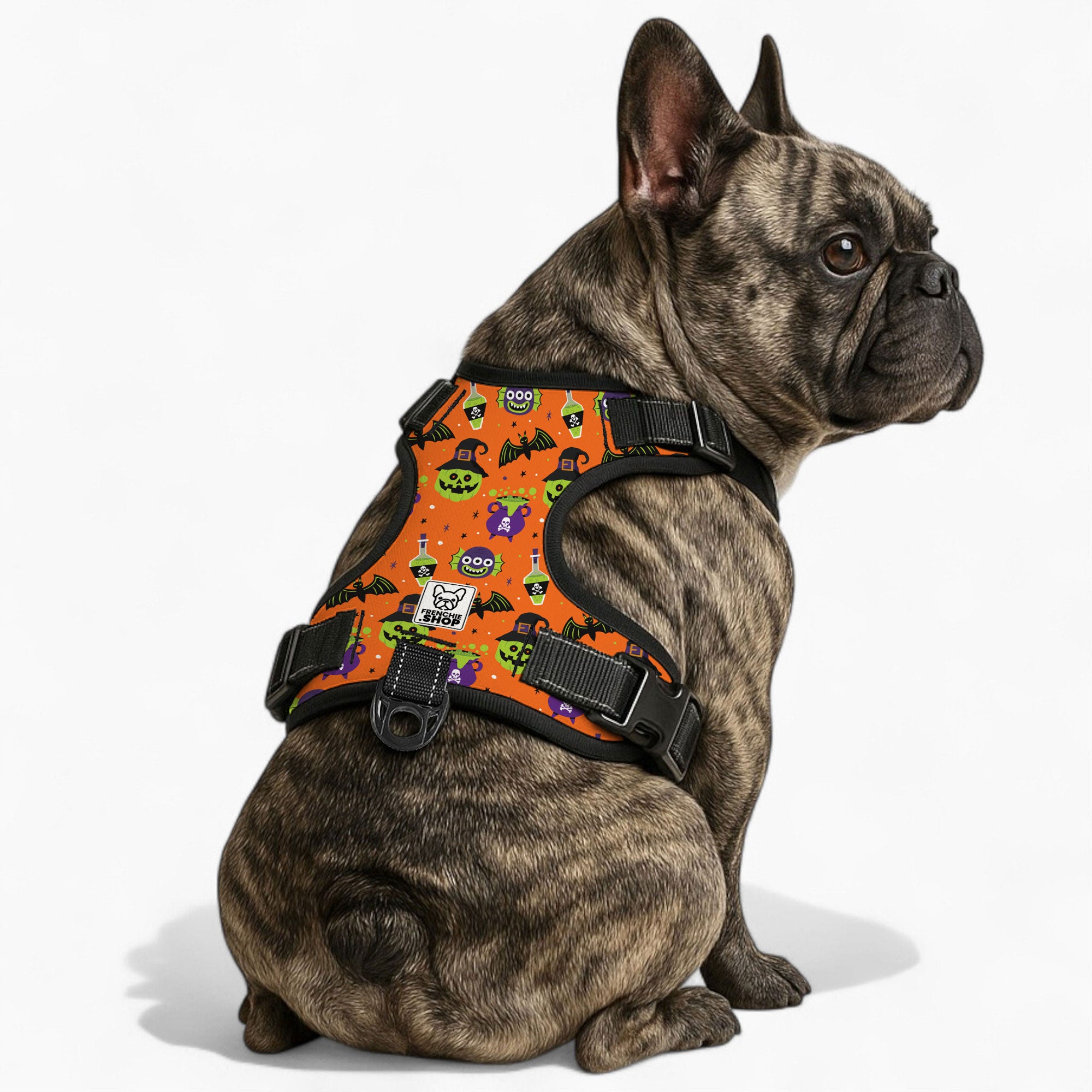 Frank - Bulldog No-pull French Bulldog Dog Harness Summer Wear
