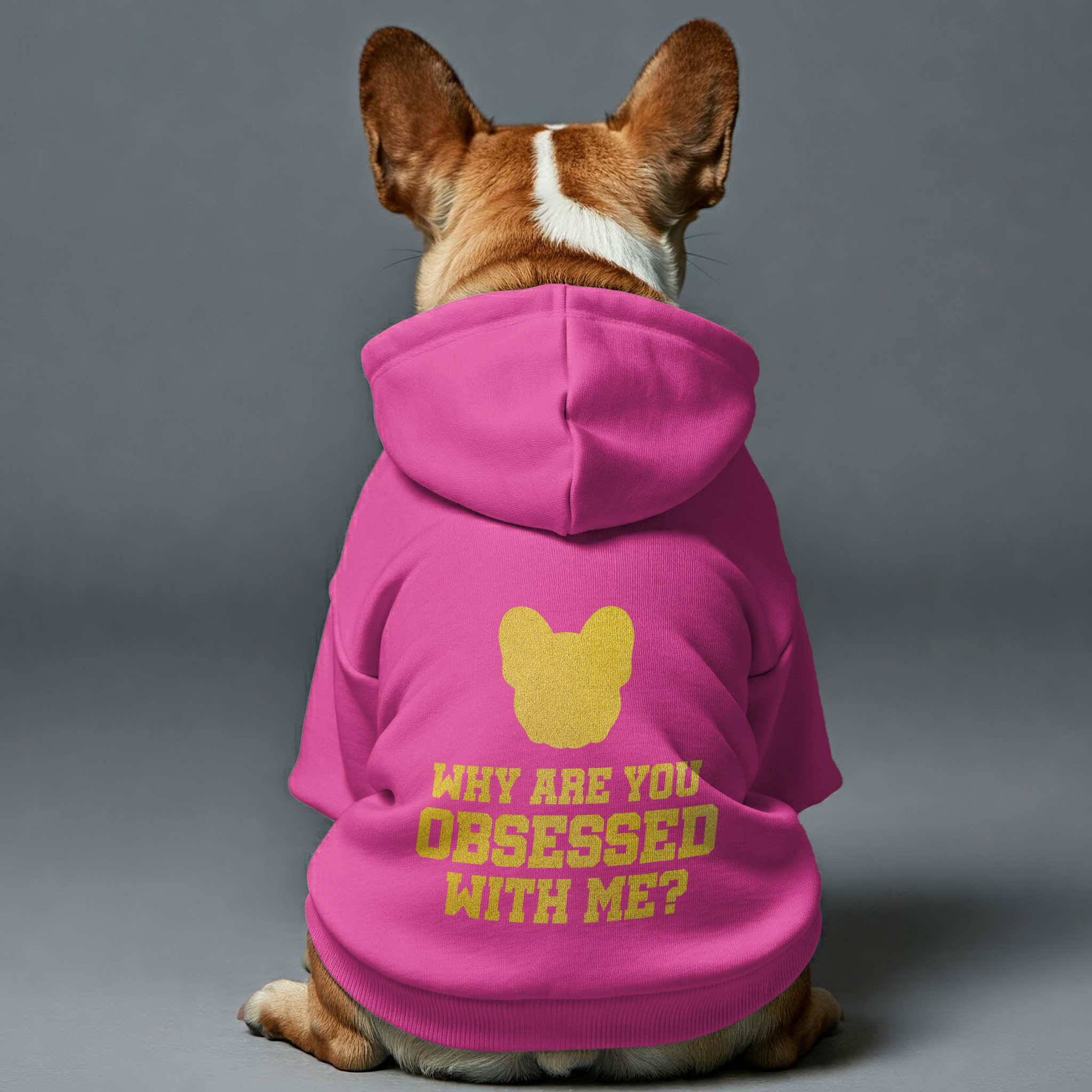French Bulldog Why Are You Obsessed With Me? Personalized French