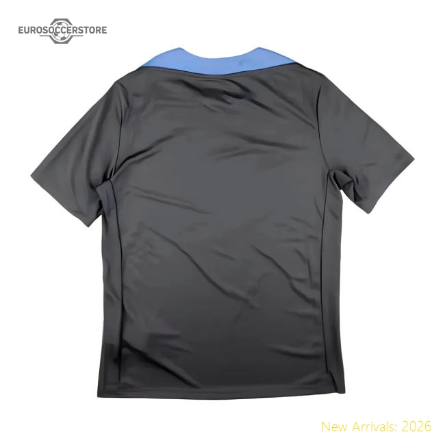 Luxury 2024-2025 Thfc Dri-fit Strike Training Shirt (dark Grey)