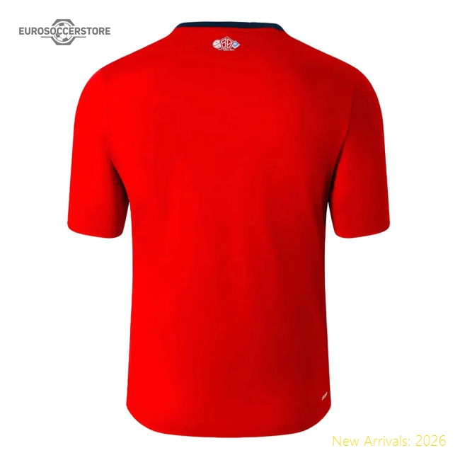 Authentic Best-Selling 2024-2025 Lille Losc Home Shirt (J.David 9)