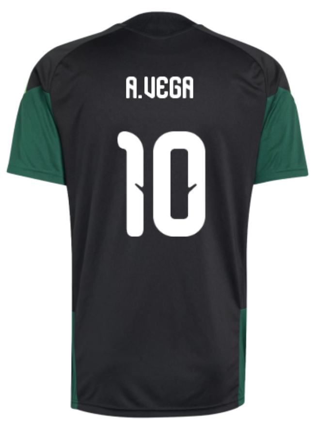 2026-2027 Aztec Warriors Training Jersey (black) (avega 10)